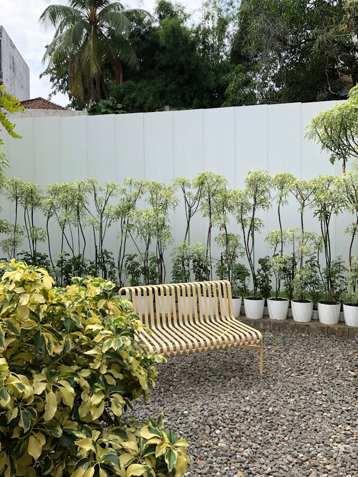 why-choose-us A peaceful garden scene featuring a wooden bench surrounded by vibrant greenery on a sunny day.