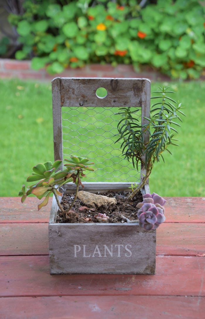 services-bg Rustic wooden planter box with succulents on a garden table, perfect for outdoor decor.